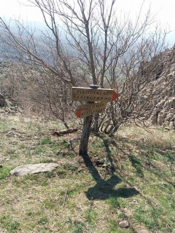Building Bridges 2017 - 1 image 10