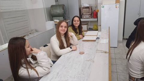 Градиме нови мостови слика 16