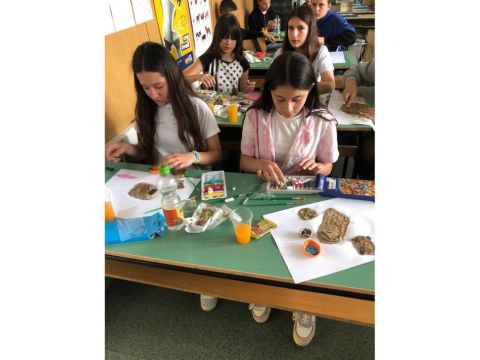 Vizitë në lokalitetin arkeologjik "Tumba Maxhari" imazh 5